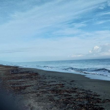 Un Nid Douillet En Bord De Plage !! Lucciana  Exterior foto