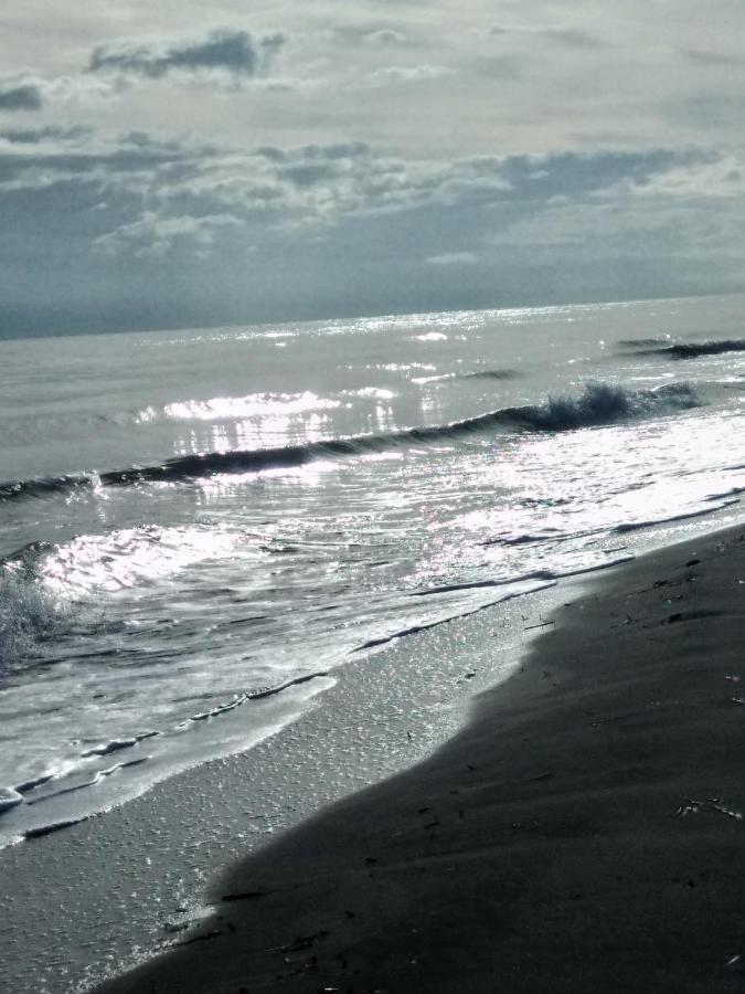 Un Nid Douillet En Bord De Plage !! Lucciana  Exterior foto